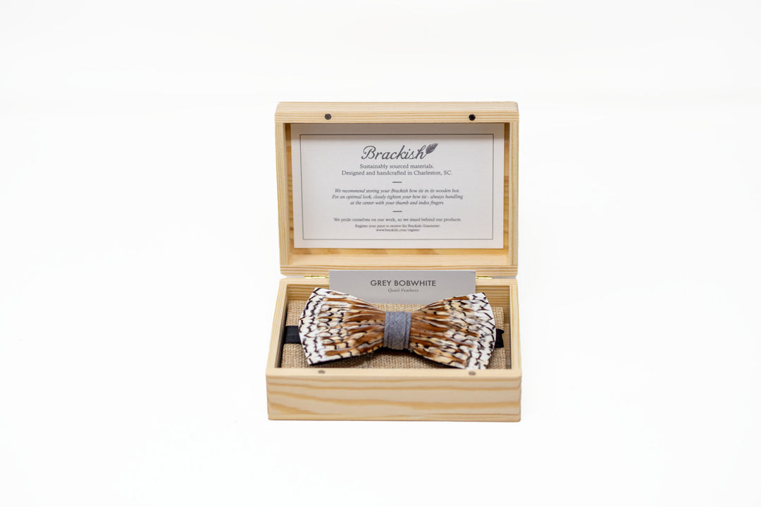 Brackish Grey Bobwhite Bowtie