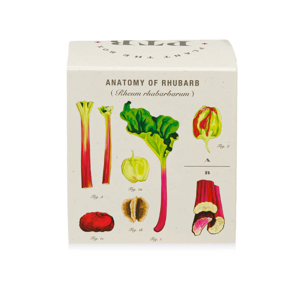 Kobo Plant The Box 9oz Candle Backyard Rhubarb