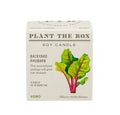 Kobo Plant The Box 9oz Candle Backyard Rhubarb