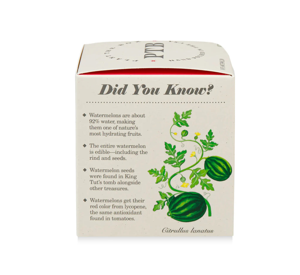 Kobo Plant The Box 9oz Candle Ripe Watermelon