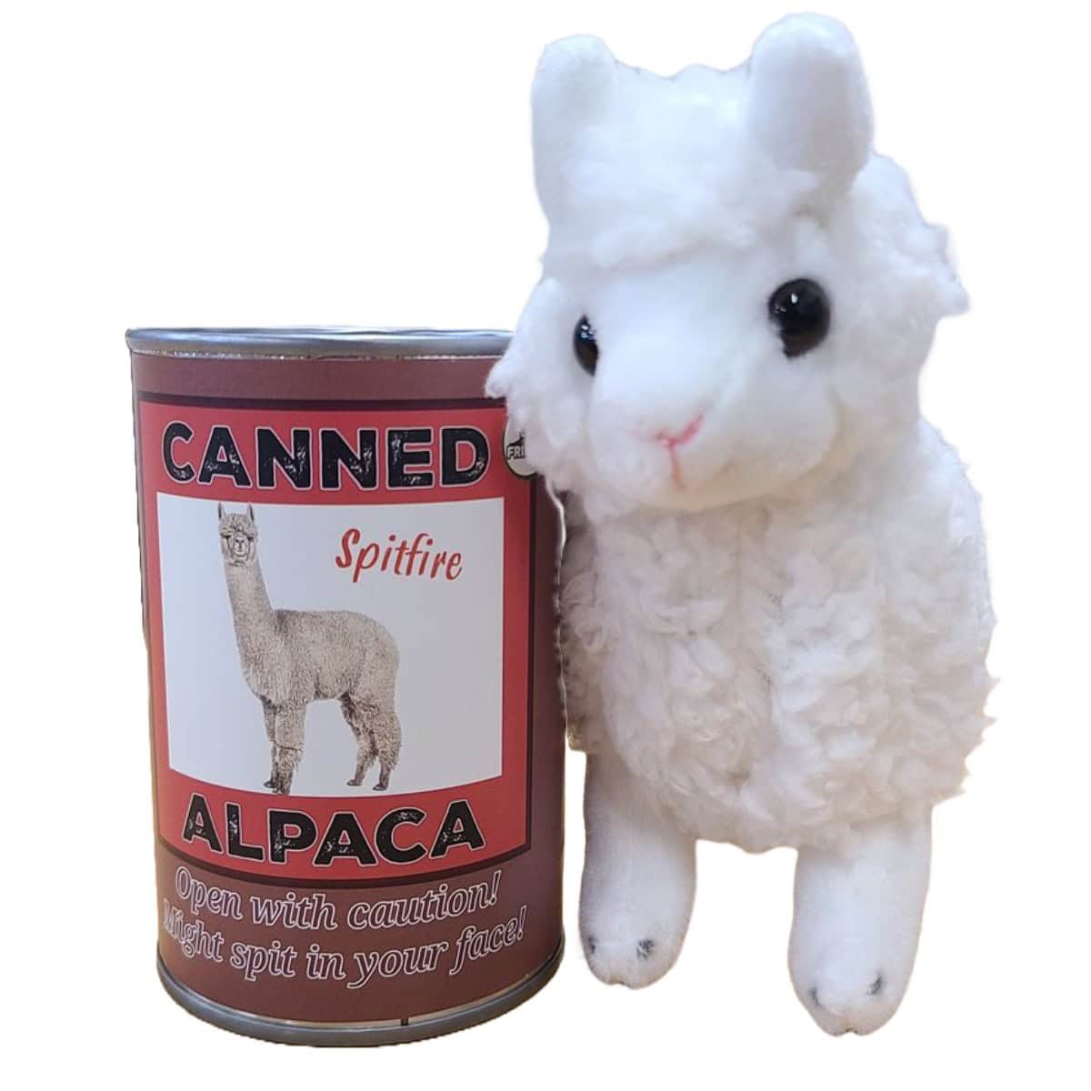 Canned Toys