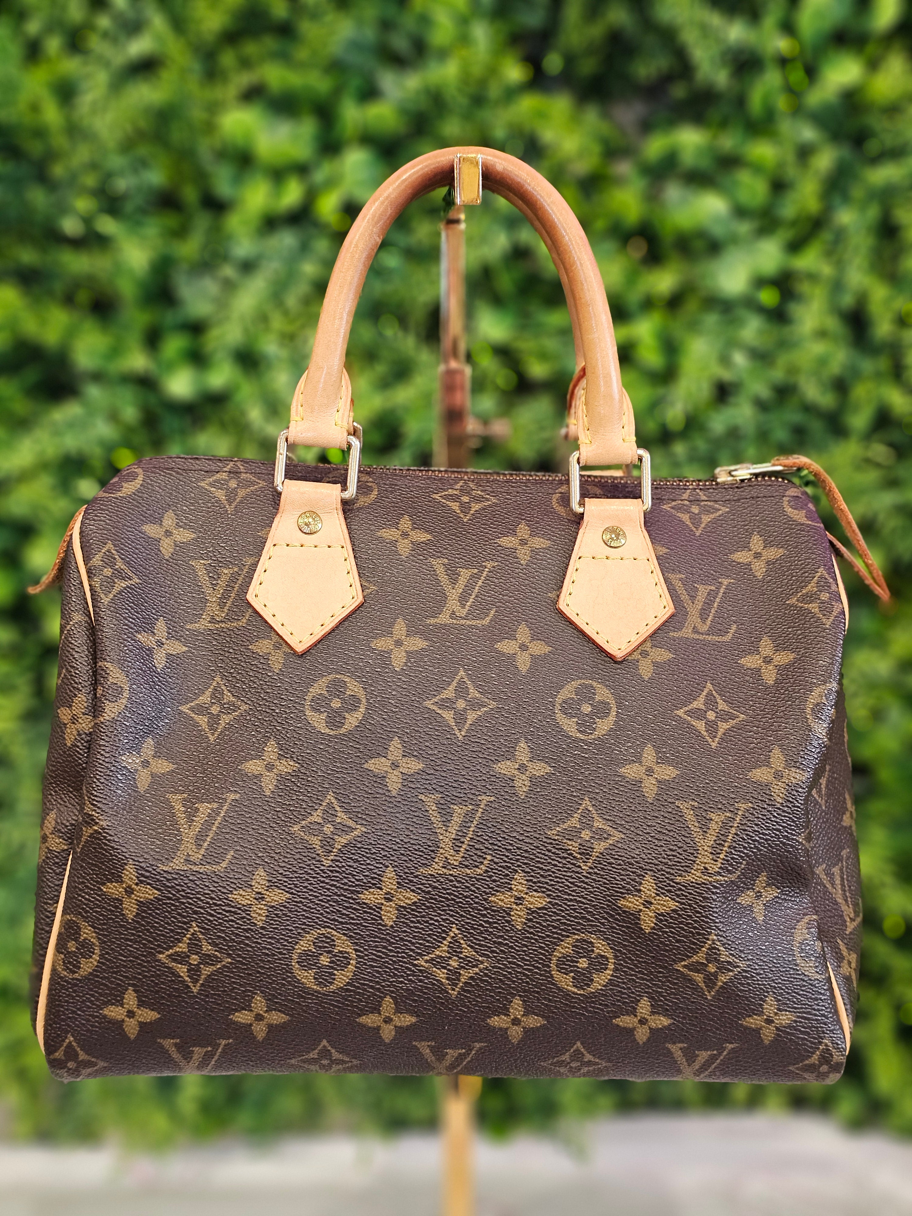 Louis Vuitton Speedy 25 – Icon on Taylor