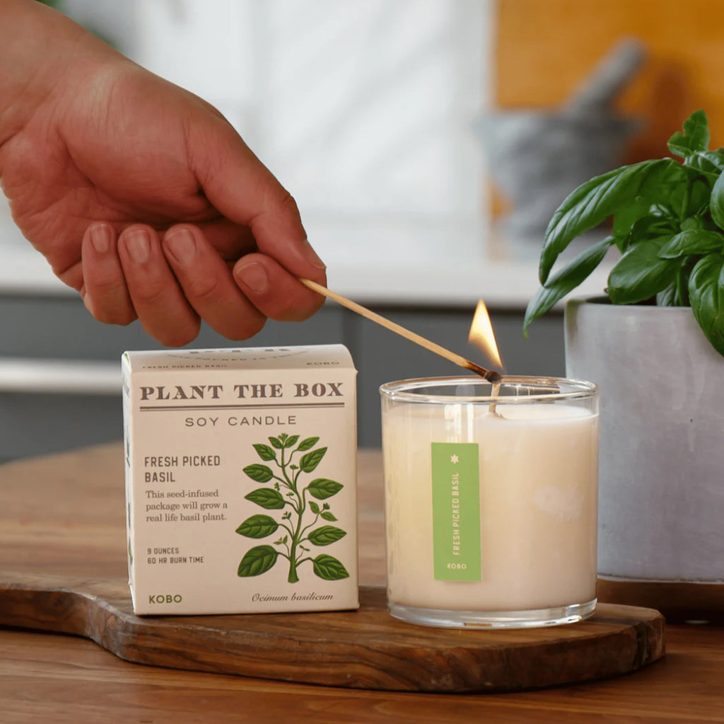 Kobo Plant The Box 9oz Candle Fresh Picked Basil