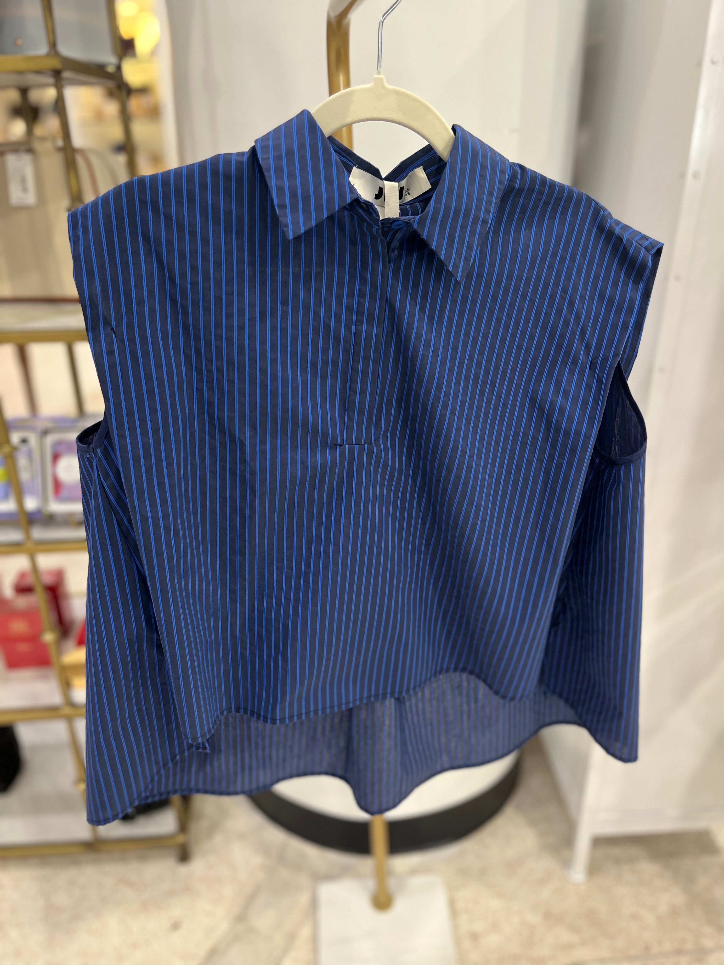 JiJi Blue Stripe Sleeveless Button Down Top