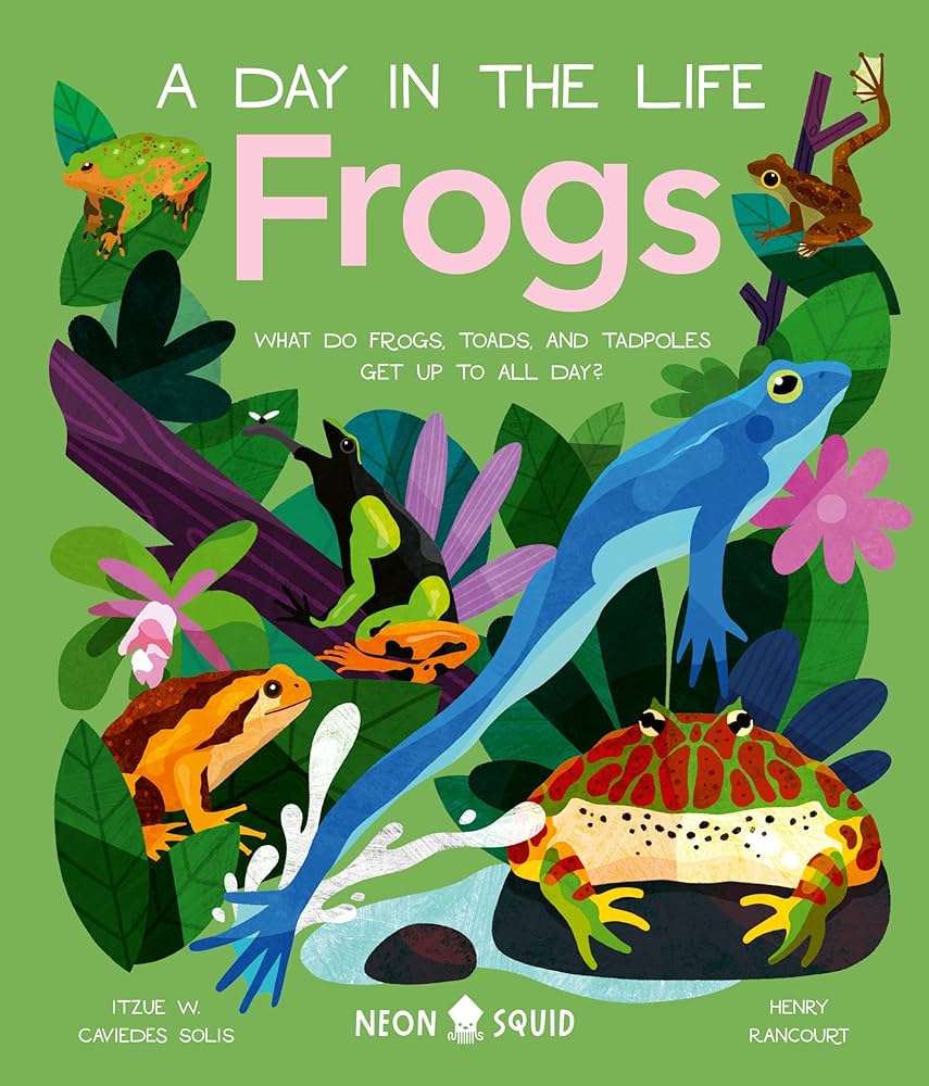 A Day in the Life: Frogs