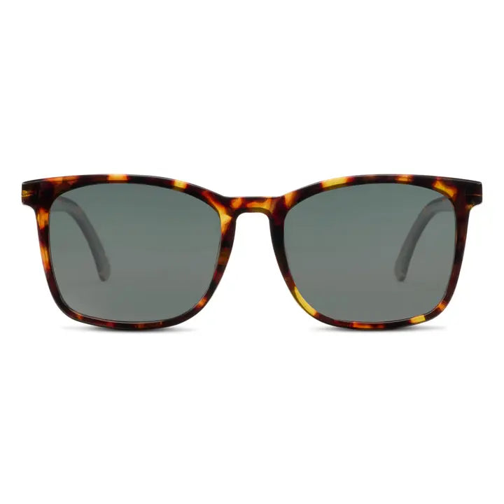 Peepers Mateo Sun Tortoise Polarized Sunglasses