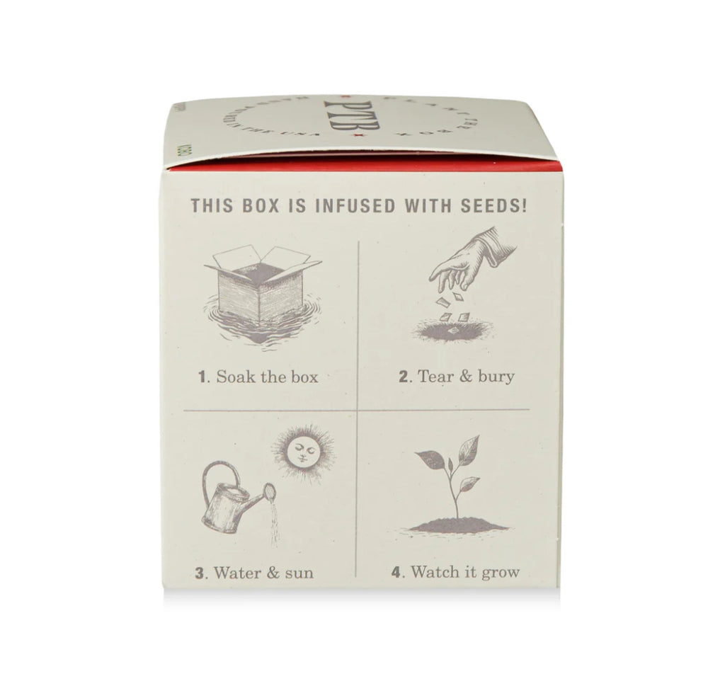 Kobo Plant The Box 9oz Candle Red Poppy