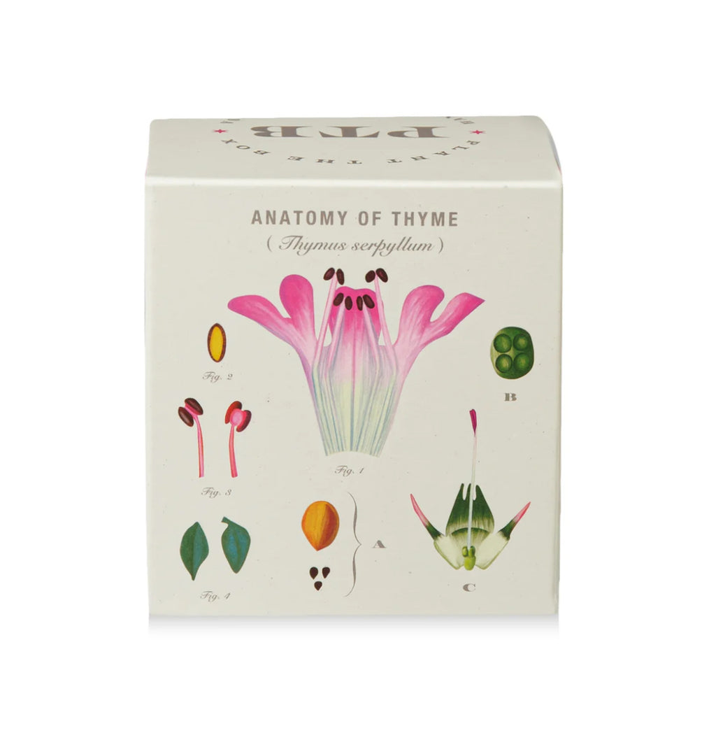 Kobo Plant The Box 9oz Candle Somerset Thyme