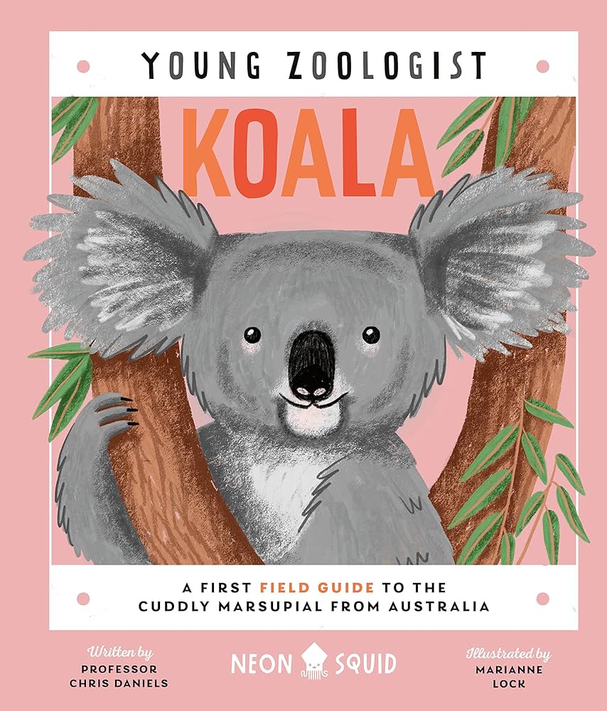 Young Zoologist: Koala