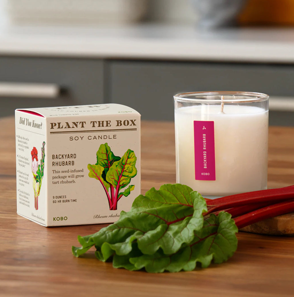 Kobo Plant The Box 9oz Candle Backyard Rhubarb