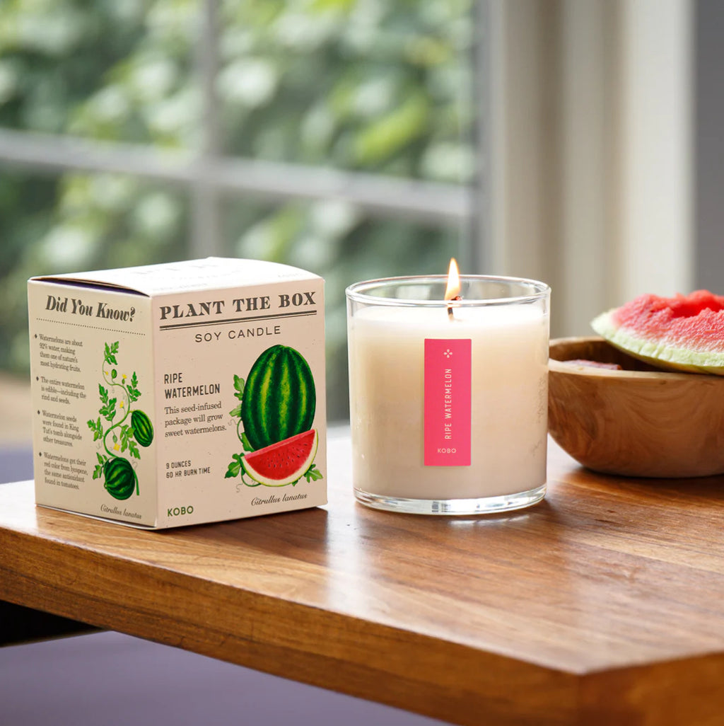 Kobo Plant The Box 9oz Candle Ripe Watermelon