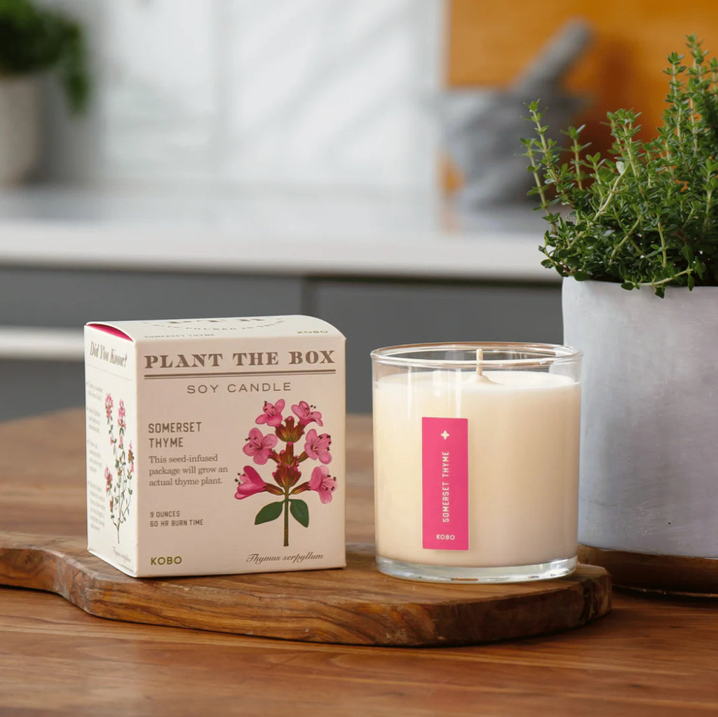 Kobo Plant The Box 9oz Candle Somerset Thyme