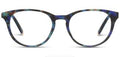 Canyon Focus Cobalt Tortoise