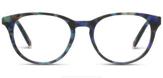 Canyon Focus Cobalt Tortoise