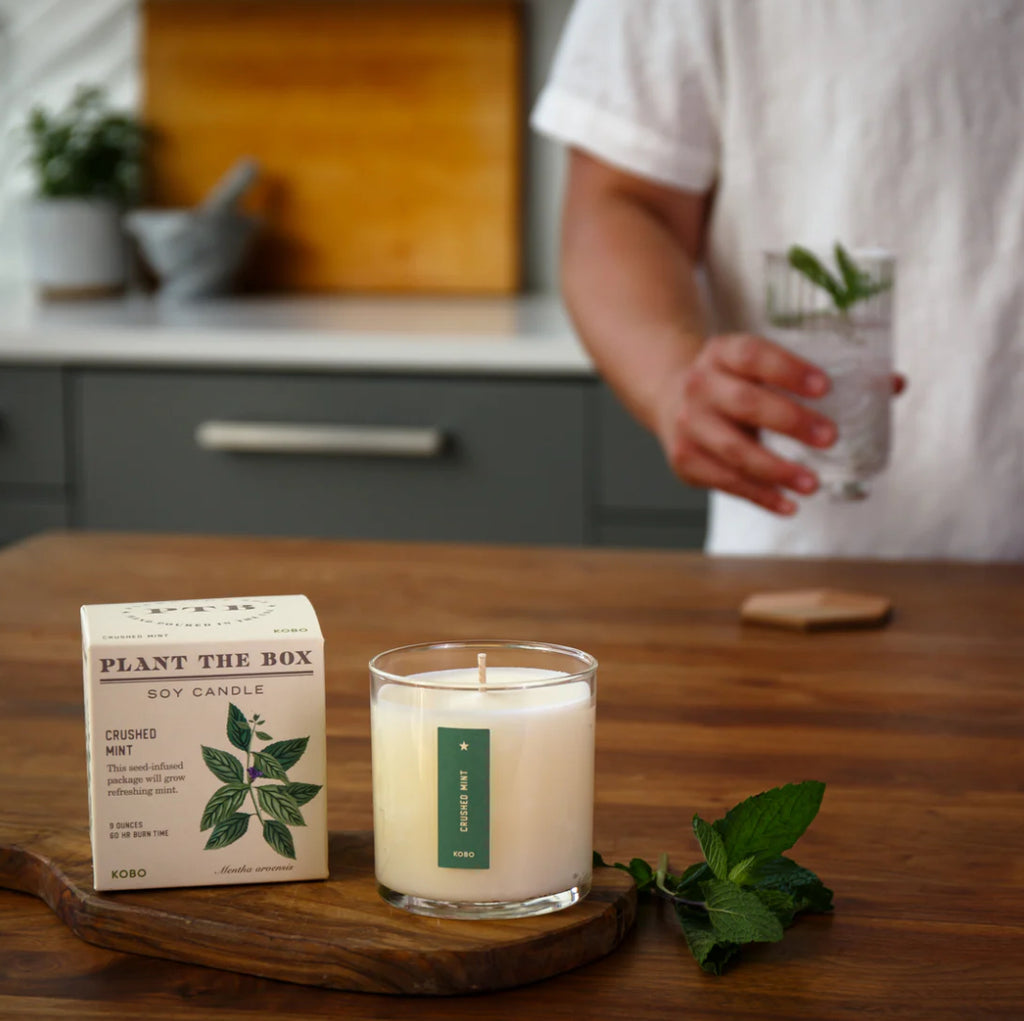 Kobo Plant The Box 9oz Candle Crushed Mint