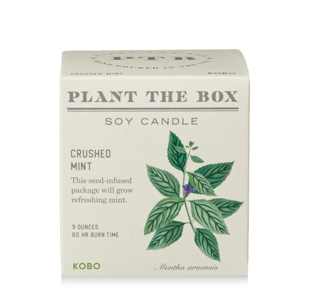 Kobo Plant The Box 9oz Candle Crushed Mint