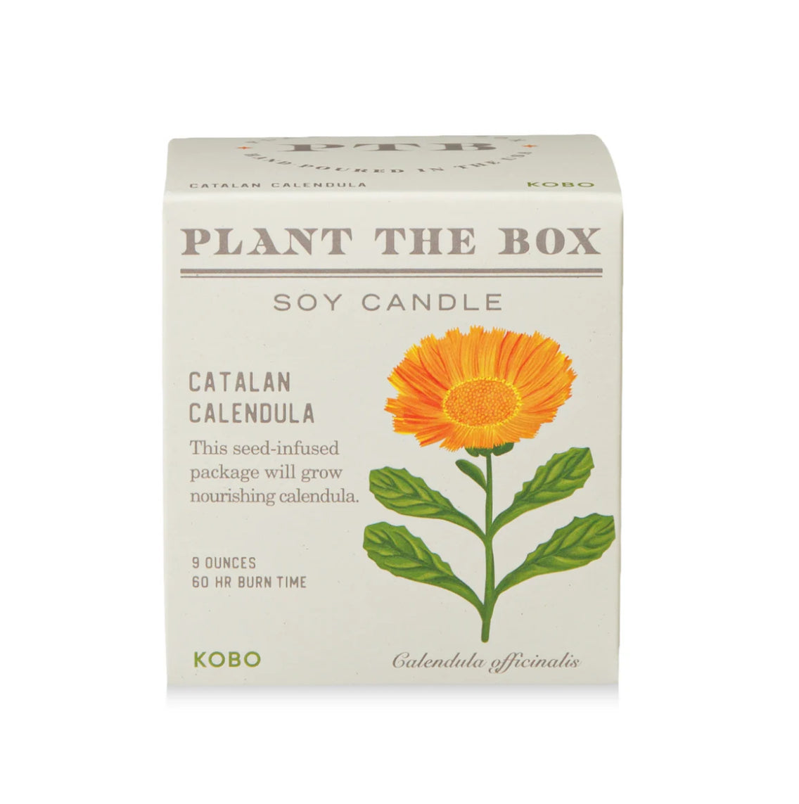 Kobo Plant The Box 9oz Candle Catalan Calendula