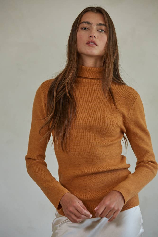 Knit Sweater Turtle Neck Long Sleeve Top