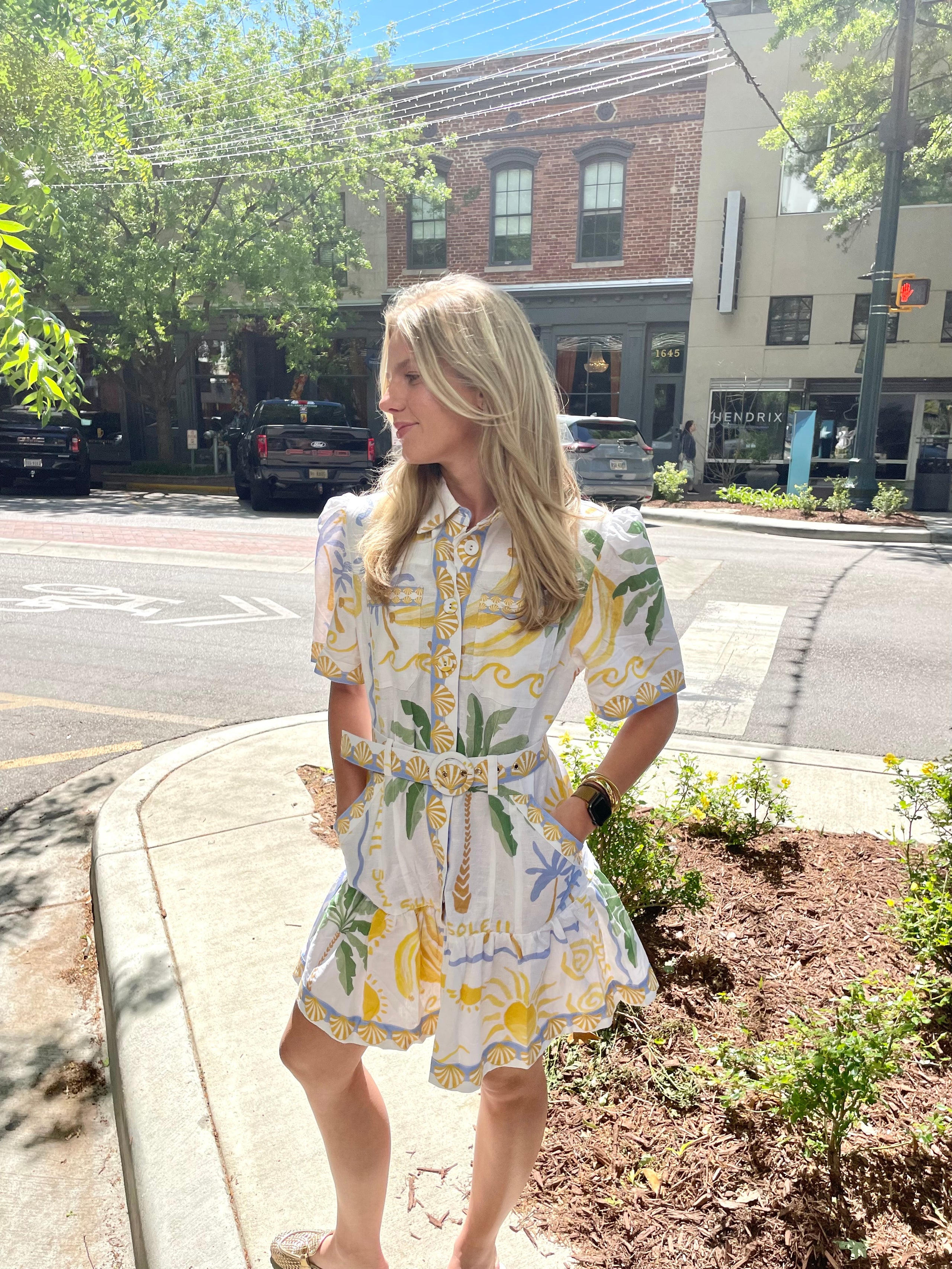 Paradisa Viscaya Mini Dress