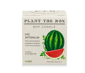 Kobo Plant The Box 9oz Candle Ripe Watermelon