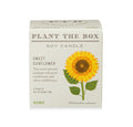Kobo Plant The Box 9oz Candle Sweet Sunflower