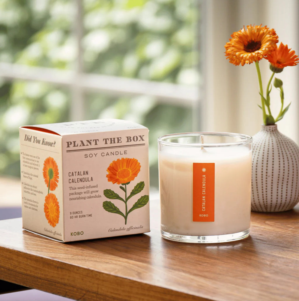 Kobo Plant The Box 9oz Candle Catalan Calendula
