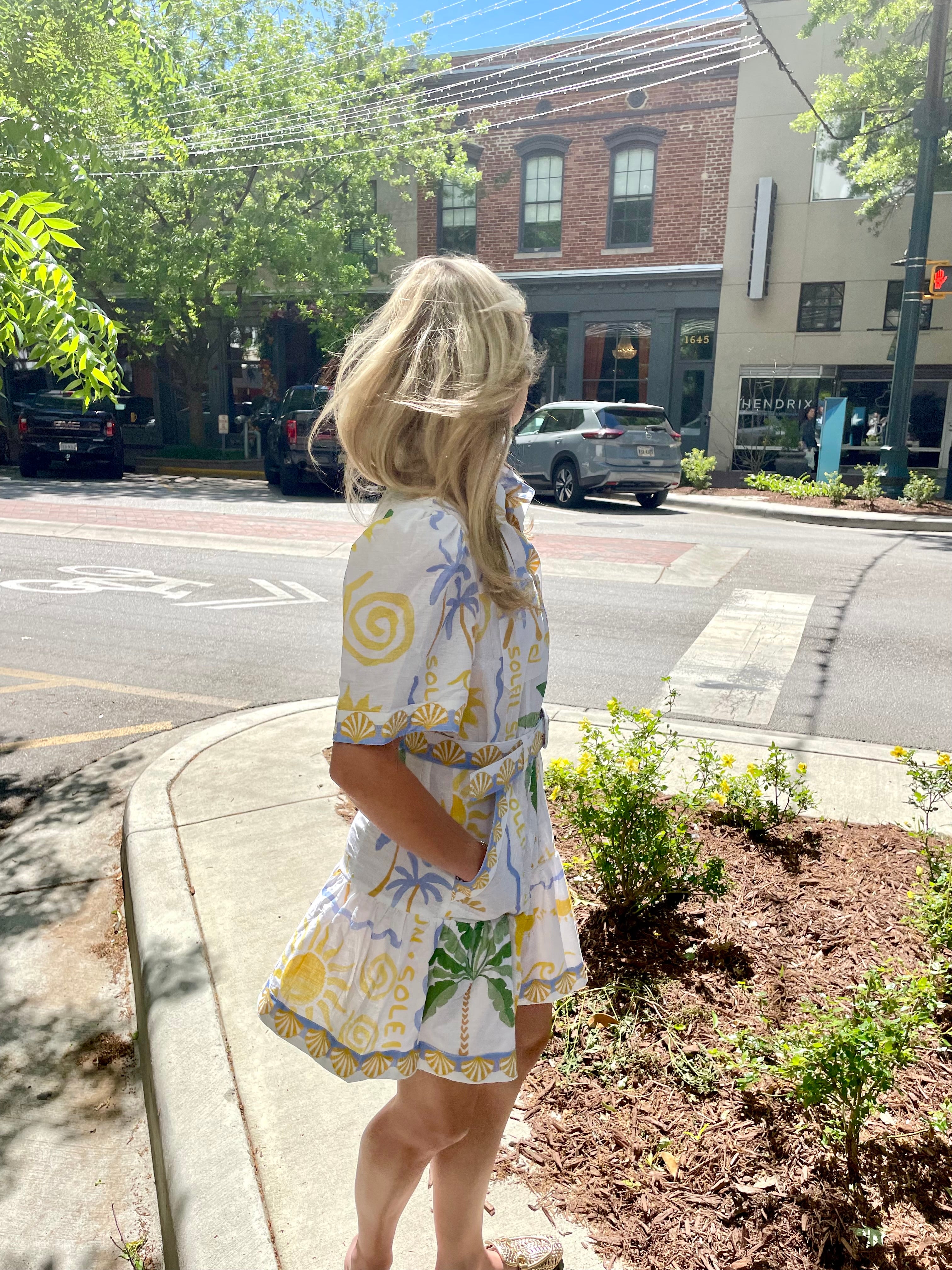 Paradisa Viscaya Mini Dress