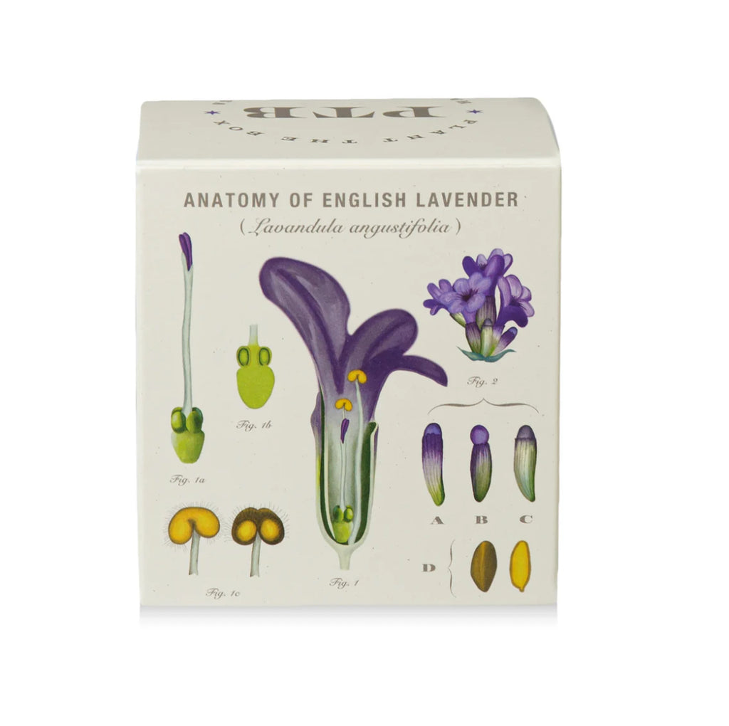 Kobo Plant The Box 9oz Candle Heath Lavender