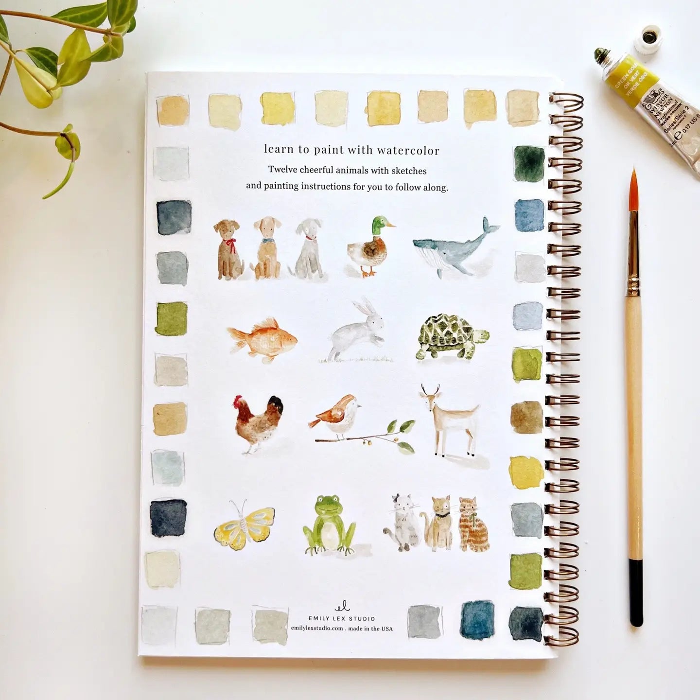 Emily Lex Studio Watercolor Book