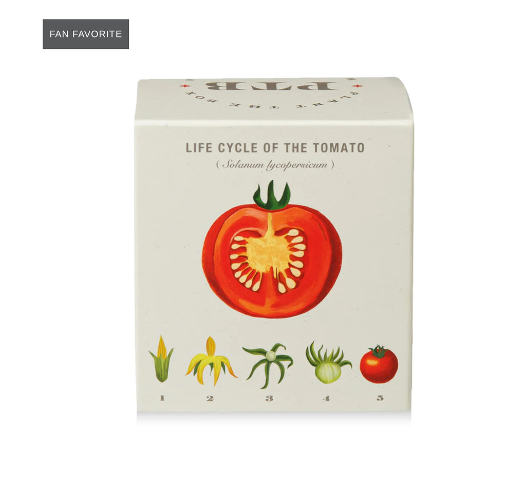 Kobo Plant The Box 9oz Candle Wild Tomato Vine