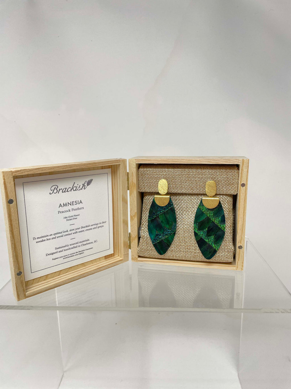 Brackish Amnesia Earrings