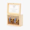 Brackish Nogales Hoop Earring