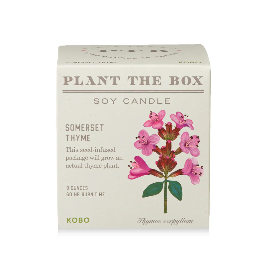 Kobo Plant The Box 9oz Candle Somerset Thyme