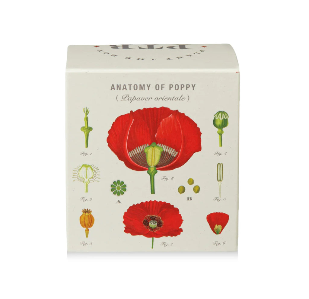 Kobo Plant The Box 9oz Candle Red Poppy
