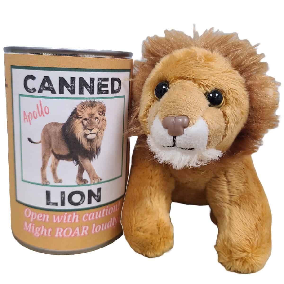 Canned Toys