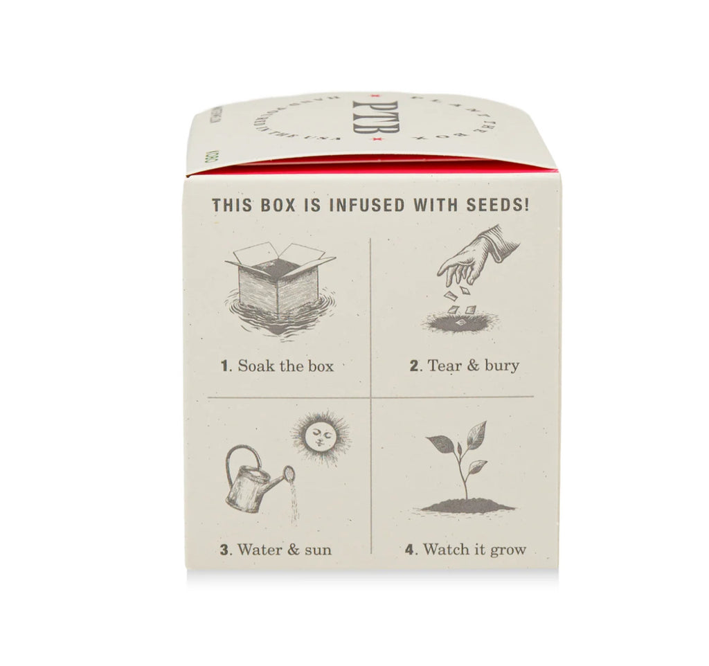 Kobo Plant The Box 9oz Candle Ripe Watermelon