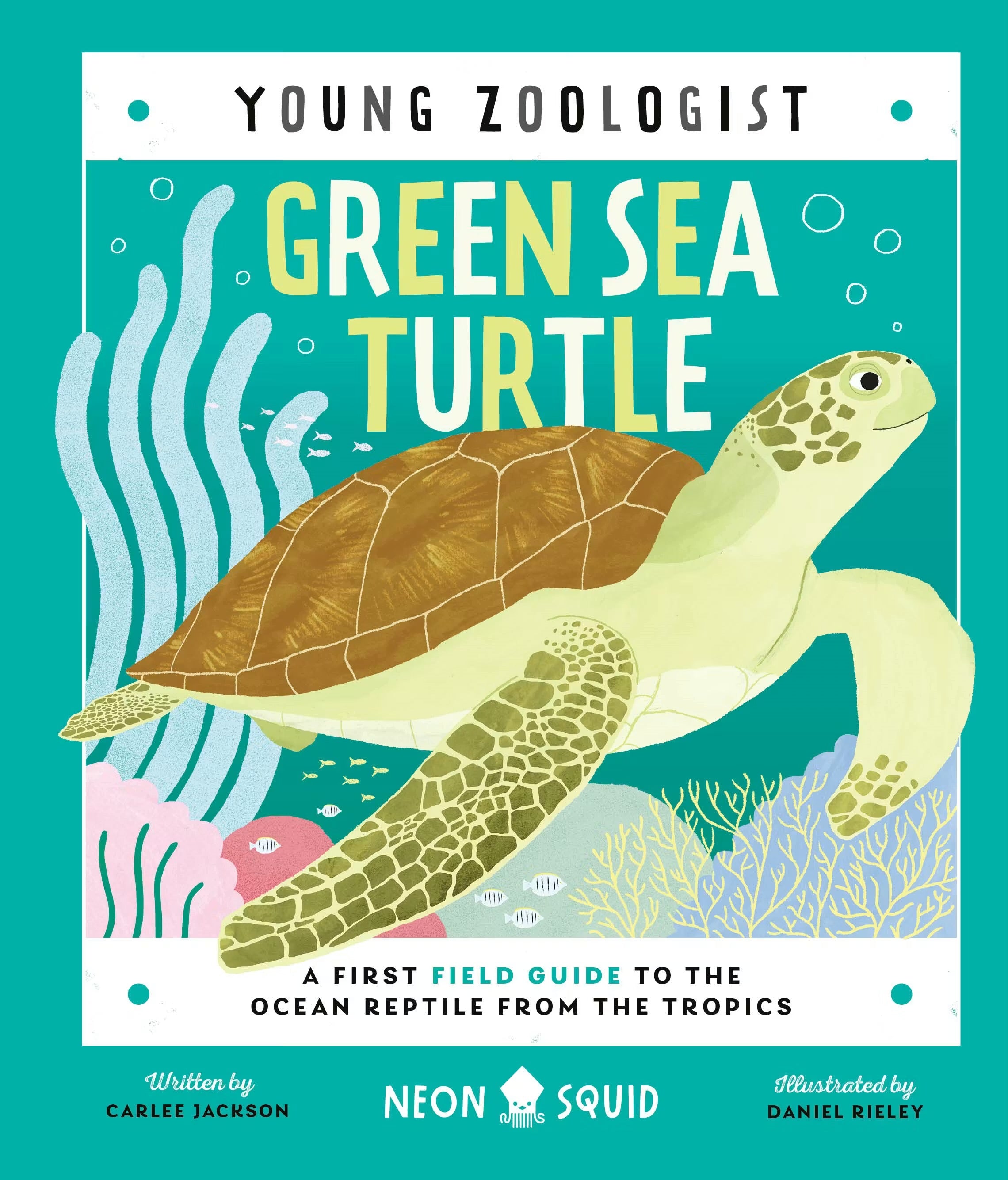 Young Zoologist: Green Sea Turtle