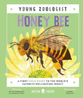 A Young Zoologist: Honey Bee