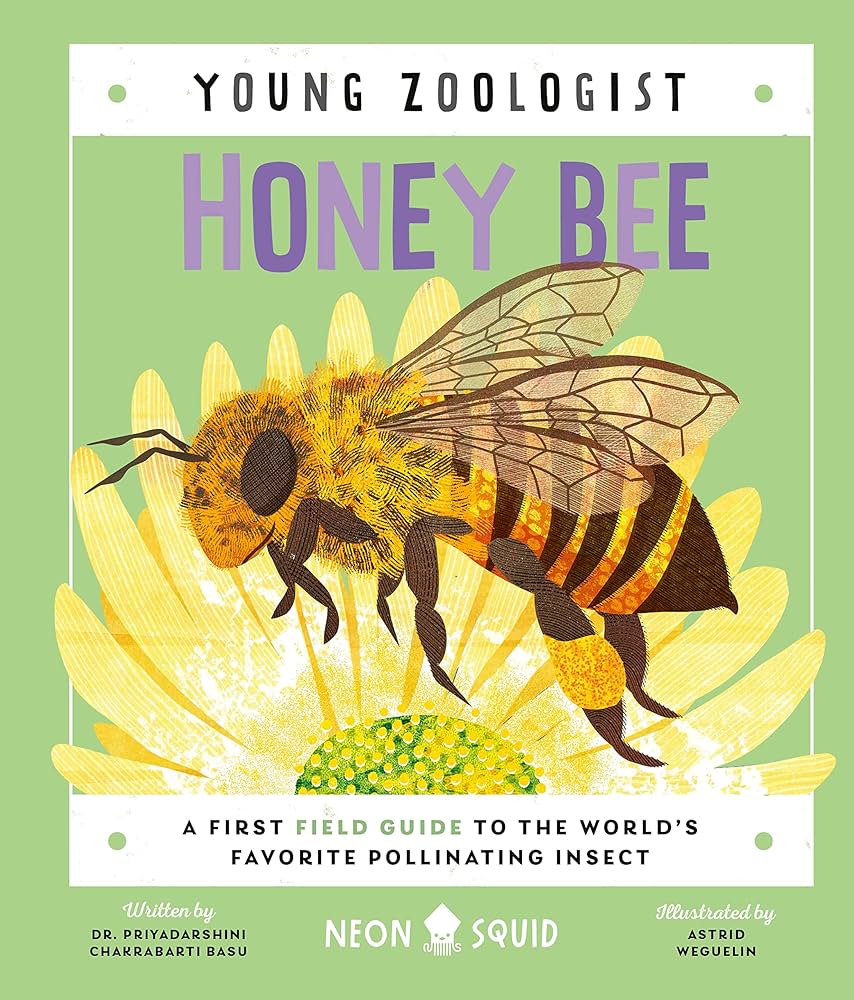 A Young Zoologist: Honey Bee