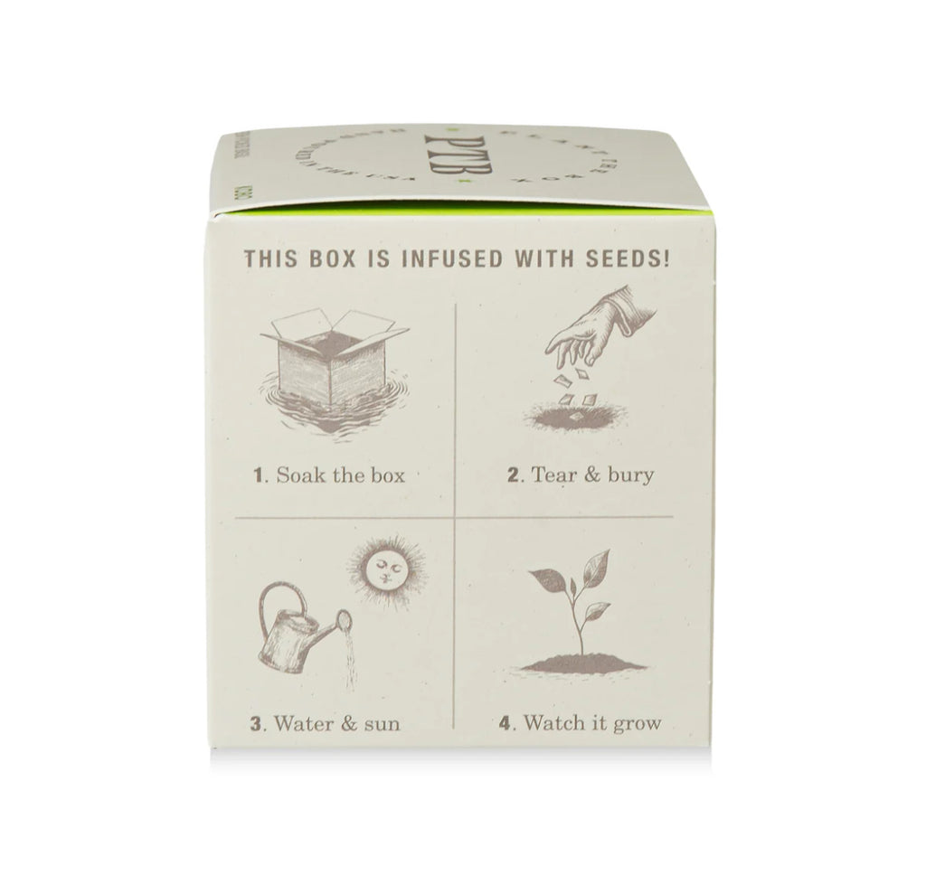 Kobo Plant The Box 9oz Candle Fresh Picked Basil